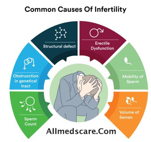 Common reason for Infertility